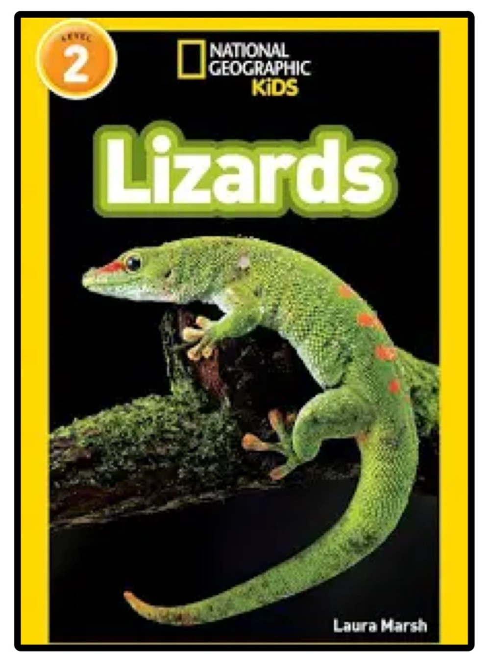 BUNDLE & SAVE🎉 National Geographic Lizards Book